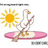 Stand up paddle duck