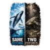 Same Ocean. Two Futures. – Humpback whale