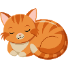 Cute sleeping cat