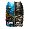 Same Ocean. Two Futures. – Sea turtle