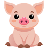 Cute Baby Pig