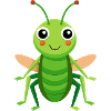 Cute Cricket