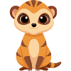 Bébé Suricate mignon