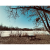 Winter landscape by the lake