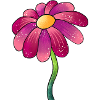Glittering Pink Daisy Flower