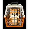 Grumpy dog in suitcase box design
