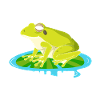 Frog Catcher Patcher Frog