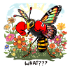 Boxing bee in Bloemenveld