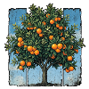 Orange tree