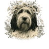 Bobtail Hund Englischer Schäferhund Blumen