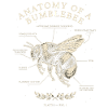Bumblebee Anatomy Motif