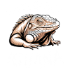 Iguanas Sayings Iguanas Funny Iguanas Gift
