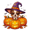 Halloween Chihuahua Pumpkin Witch