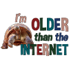 I'm older than the Internet - Turtle