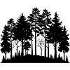 Forest Tree Line