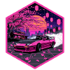 Neon Sakura Lanterns Hex-Emblem