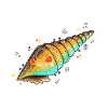 Bunte Muschelwasserfarben