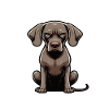 Nerv Mich Nicht Weimaraner Weimaranerbesitzer 