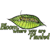 Bloom Where You Are Planted