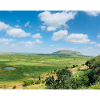 Steppe landscape with a lake