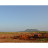 Desert Horizon and Red Soils