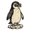 Cool Penguin