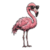 cool flamingo