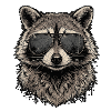 Cool raccoon