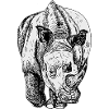 Rhinoceros Line Drawing Black and White