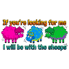 With the sheep