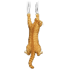Cat Lovers