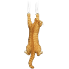 Cat Lovers 