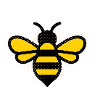 Pop Point Bee in Honey Style