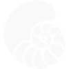 Spiral Pattern Shell