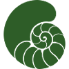 Green Spiral Pattern Shell