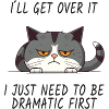 Drama Cat – I'll Get Over It