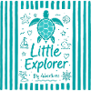 Little Explorer Turtle