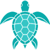 Turtle Pattern