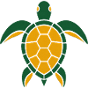 Turtle Summer