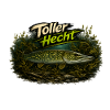 Toller Hecht – Deutscher Hecht | Angler