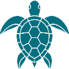 Turtle Summer Shirt