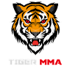 Aggressive Tiger MMA Fighter  