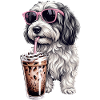 Havanese
