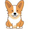 Corgi Dog