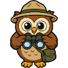 Adventurous owl explorers