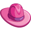 Pink Cowboy Hat