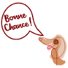 Bonne Chance Chien