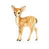 Fawn with heart pattern