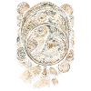 Coin Collector Numismatics Coin Collecting