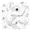 Sloth bouldering – Full of chalk